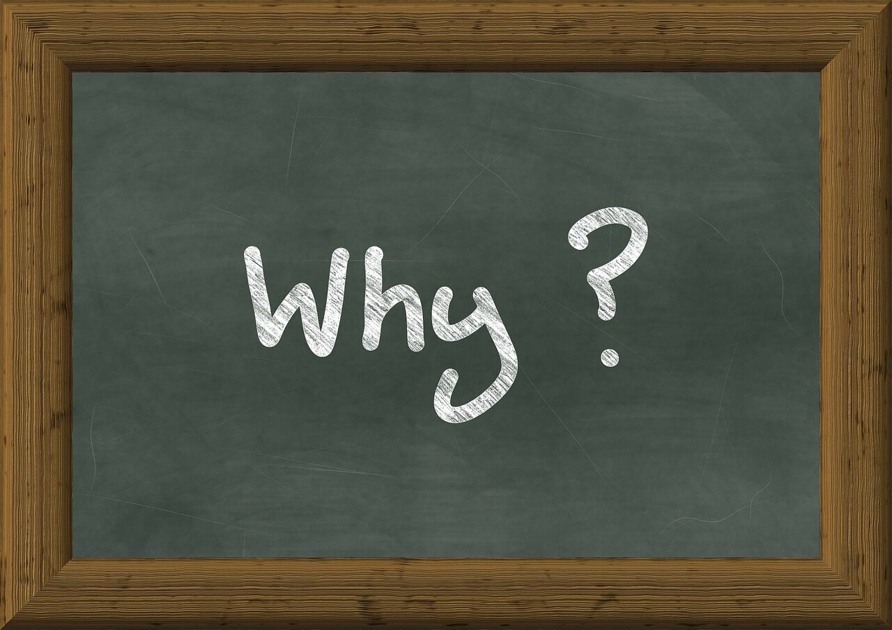 why, question, blackboard, school, think, why, why, why, why, why